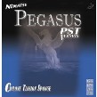 NIMATSU PEGASUS C. PST VERSION